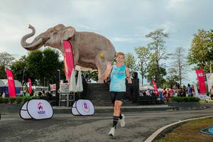 BIB: 
                            <button type="button" onclick="openModal(26529191)" class="btn btn-primary btn-sm float-right btn-popup" data-toggle="modal" data-target=".modal-high-quality">
                        <i class="fas fa-shopping-cart"></i> Add to Cart
                    </button>
                                            <button type="button" onclick="isThisMe(26529191, true)" class="btn btn-success btn-sm float-right btn-popup btn-isme hidden" data-toggle="tooltip" data-placement="bottom" title="นี่คือรูปของคุณใช่ไหม คลิกที่นี่เพื่อเอาเข้าอัลบั้ม">
                        <i class="fas fa-plus"></i> Add to album
                    </button>
                    <button type="button" onclick="isThisMe(26529191, false)" class="btn btn-warning btn-sm float-right btn-popup btn-isnotme hidden">
                        <i class="fas fa-ban"></i> Remove from album
                    </button>